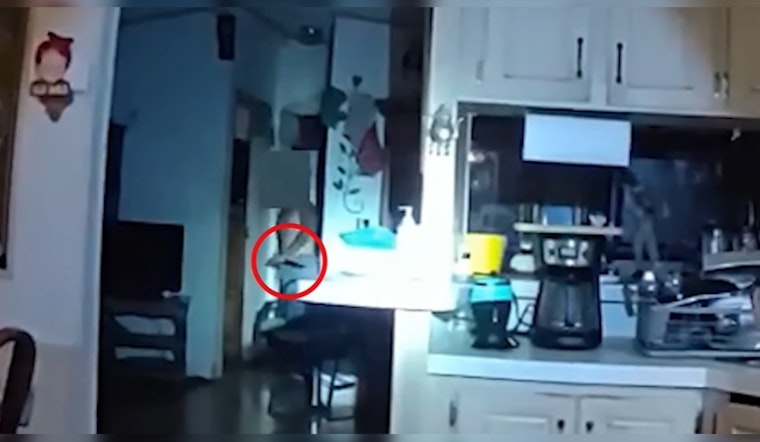 Phoenix Police Release Video of Officer-Involved Shooting Following Domestic Violence Call