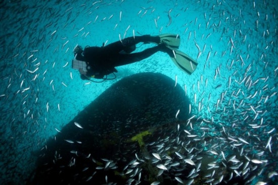 Pinellas County Receives $2.25 Million NOAA Grant for Tire Removal from Tampa Bay and Gulf of Mexico