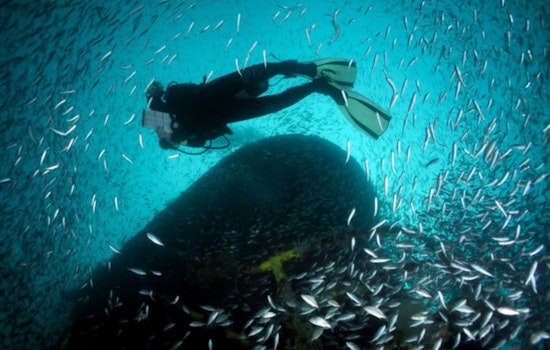 Pinellas County Receives $2.25 Million NOAA Grant for Tire Removal from Tampa Bay and Gulf of Mexico