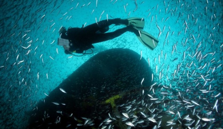 Pinellas County Receives $2.25 Million NOAA Grant for Tire Removal from Tampa Bay and Gulf of Mexico