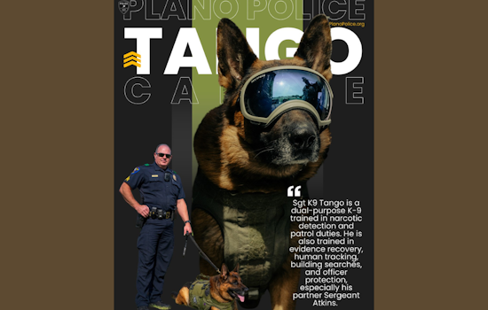 Plano PD Celebrates Four-Legged Hero: K9 Tango Enhances Local Law Enforcement with Multifaceted Skills