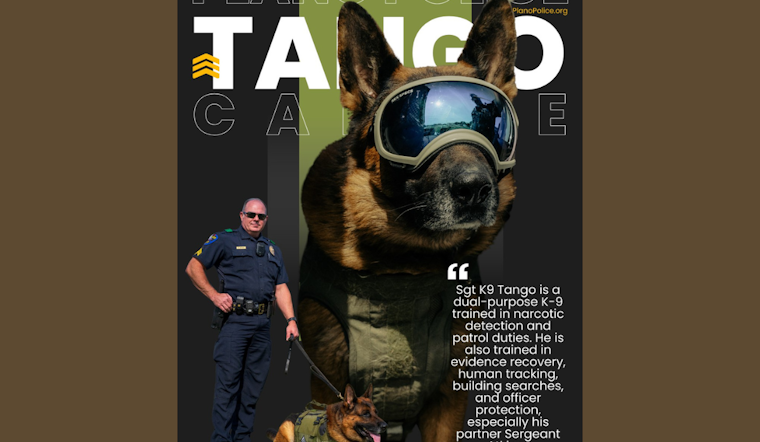 Plano PD Celebrates Four-Legged Hero: K9 Tango Enhances Local Law Enforcement with Multifaceted Skills