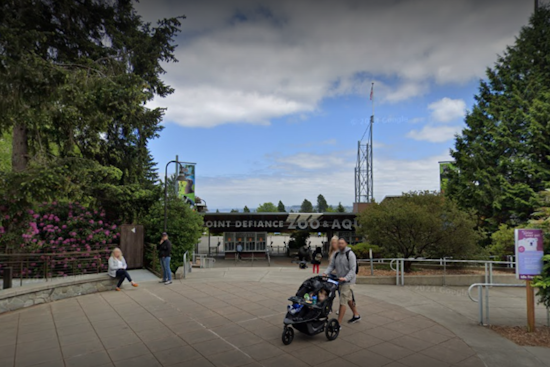 Point Defiance Park in Tacoma to Install Permanent Security Cameras After String of Violent Incidents