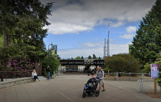 Point Defiance Park in Tacoma to Install Permanent Security Cameras After String of Violent Incidents