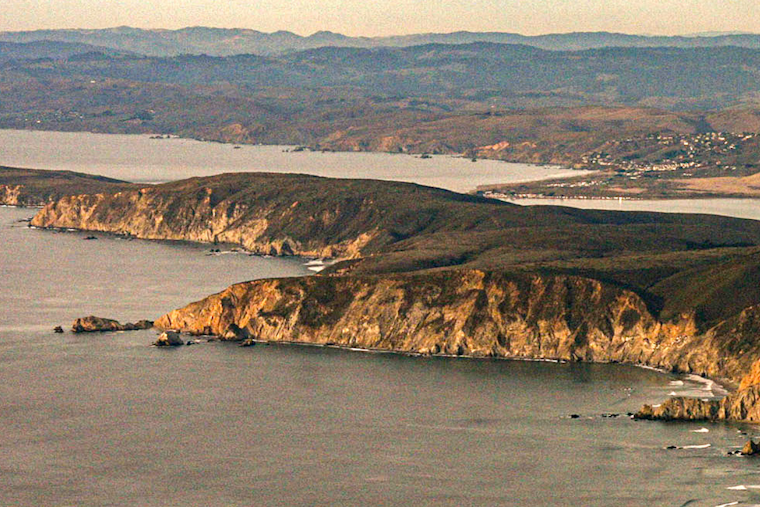 Point Reyes Seashore Announces Removal of Tule Elk Fence Amid Mixed Reactions in Tomales Point Revamp