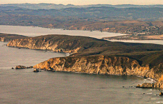 Point Reyes Seashore Announces Removal of Tule Elk Fence Amid Mixed Reactions in Tomales Point Revamp