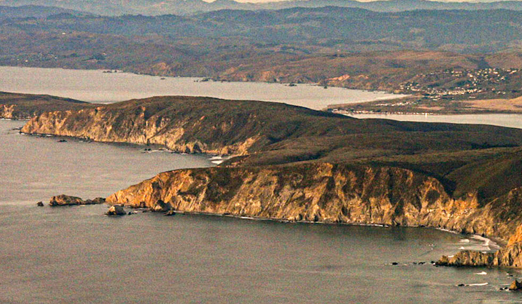 Point Reyes Seashore Announces Removal of Tule Elk Fence Amid Mixed Reactions in Tomales Point Revamp