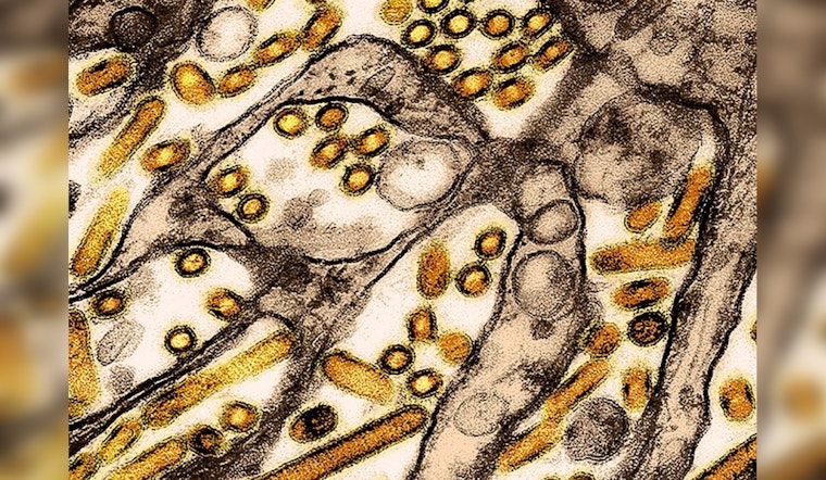 Northwest Naturals of Portland Initiates Recall Amid Avian Flu Outbreak Linked to Feline Death