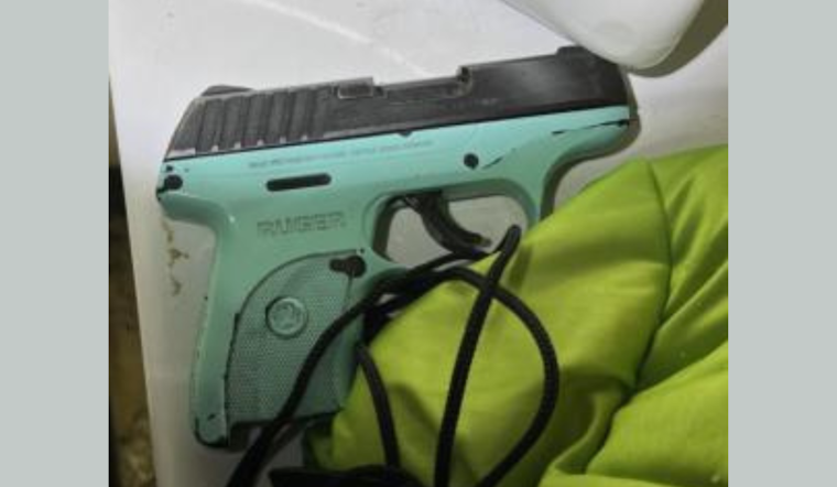 Portland Resident Natasha V. Molett Arrested on Attempted Murder and Firearm Charges