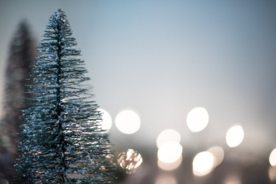 Post-Holiday Recycling, Metro Detroit and Lansing Offer Multiple Christmas Tree Disposal Options