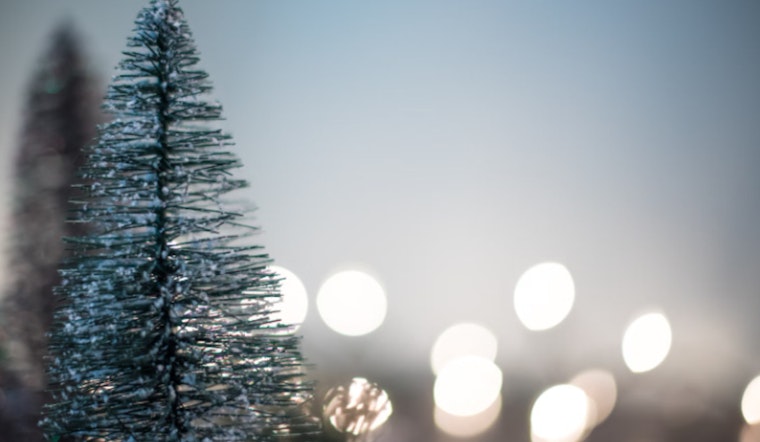 Post-Holiday Recycling, Metro Detroit and Lansing Offer Multiple Christmas Tree Disposal Options