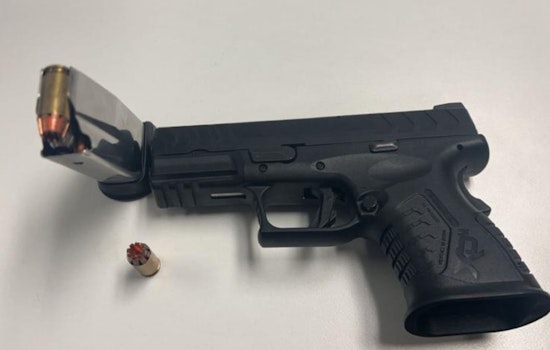 Quick Arrest and Gun Recovery in Van Buren County Following Larceny, Suspect Faces Multiple Charges
