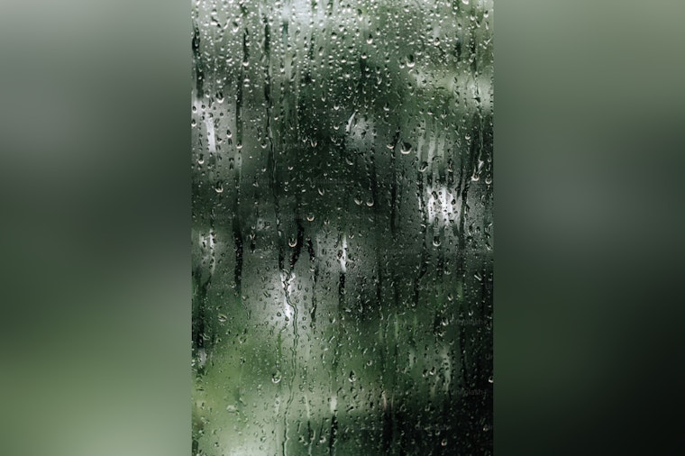 Raleigh Prepares for Erratic Weather with Rain, Fog, and Spring-like Temperatures