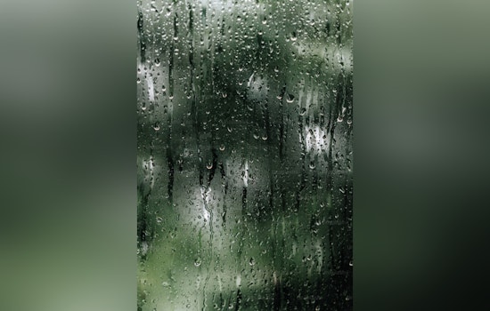 Raleigh Prepares for Erratic Weather with Rain, Fog, and Spring-like Temperatures
