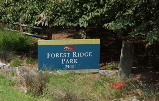 Raleigh Winter Preschool Programs Offer Interactive Outdoor Learning for Kids Ages 3-6