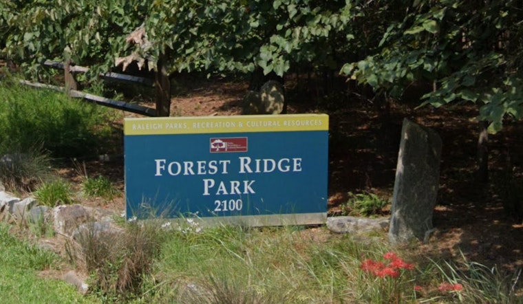 Raleigh Winter Preschool Programs Offer Interactive Outdoor Learning for Kids Ages 3-6