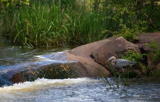 Raleigh's Neuse River Park Master Plan Wins Unanimous Support, Next Stop City Council Review
