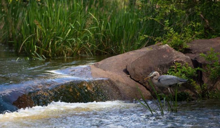 Raleigh's Neuse River Park Master Plan Wins Unanimous Support, Next Stop City Council Review