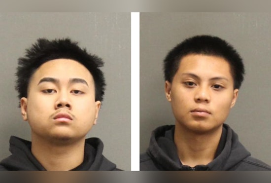 Repeat Offenders, Nashville Teens Facing New Robbery and Trespassing Charges After String of Crimes