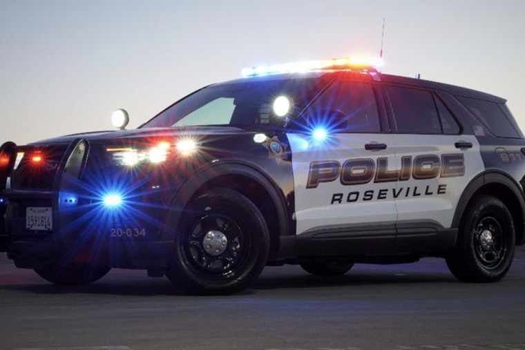 Roseville Police Apprehend Domestic Violence Suspect Following Nighttime Operation