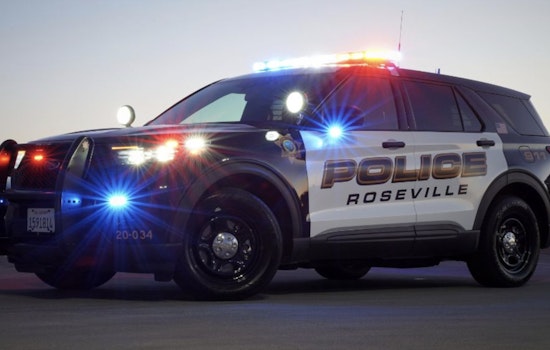 Roseville Police Apprehend Domestic Violence Suspect Following Nighttime Operation