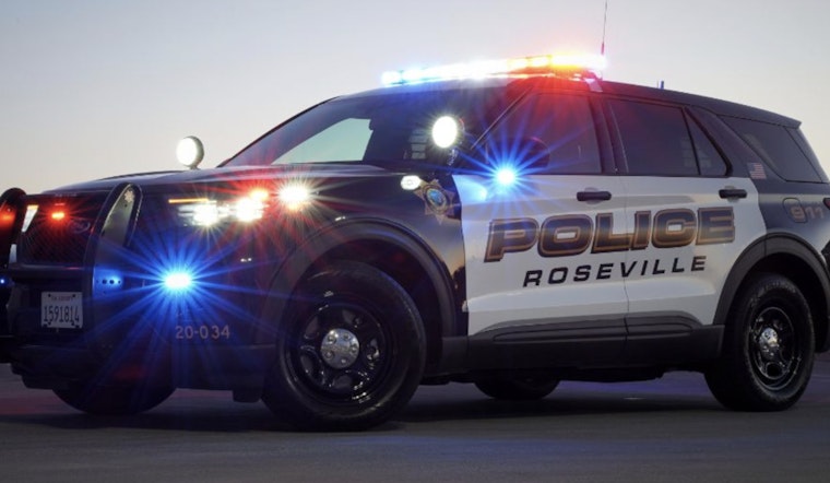 Roseville Police Apprehend Domestic Violence Suspect Following Nighttime Operation