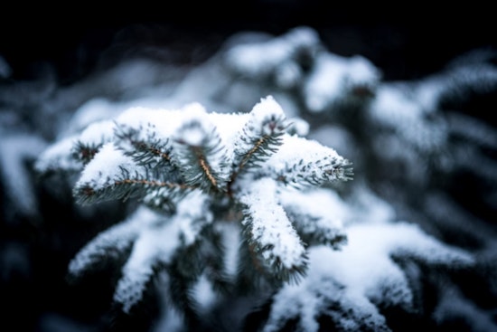 Sacramento and Sierra Nevada Brace for Travel Disruptions Amid Winter Weather Advisory