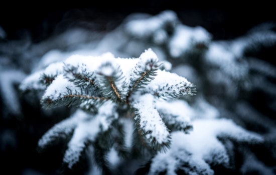 Sacramento and Sierra Nevada Brace for Travel Disruptions Amid Winter Weather Advisory
