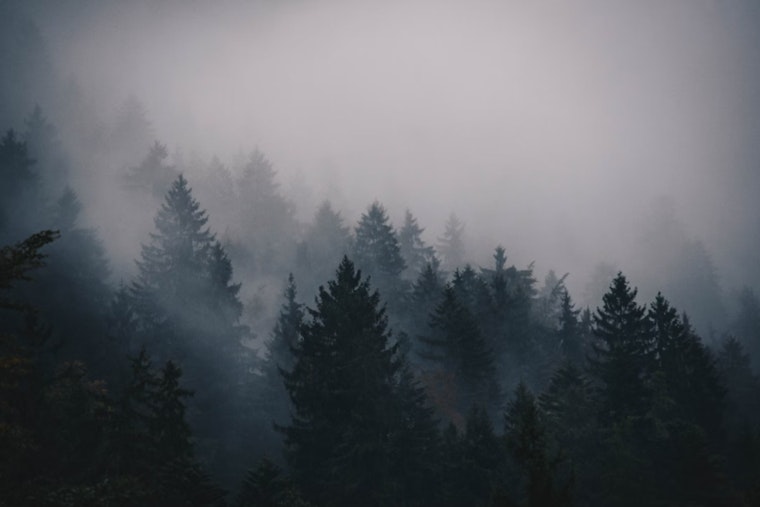 Sacramento Braces for Persistent Morning Fog Unlikely to Clear Before Saturday, National Weather Service Reports