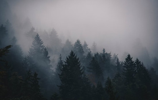 Sacramento Braces for Persistent Morning Fog Unlikely to Clear Before Saturday, National Weather Service Reports