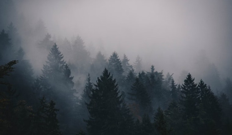 Sacramento Braces for Persistent Morning Fog Unlikely to Clear Before Saturday, National Weather Service Reports