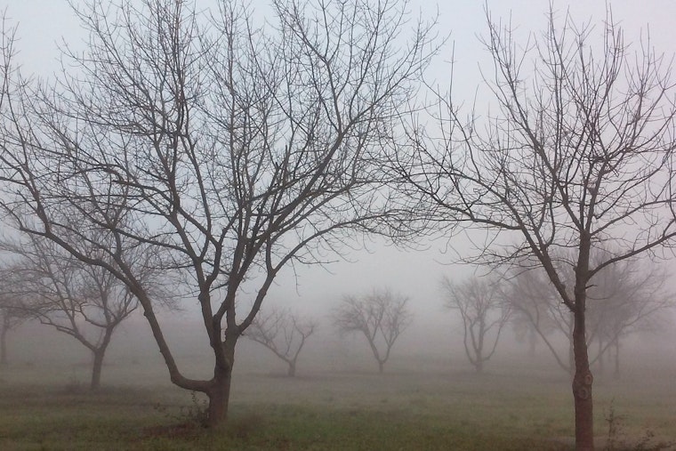 Sacramento Braces for Weather Turmoil as Fog and Storms Threaten Holiday Travels