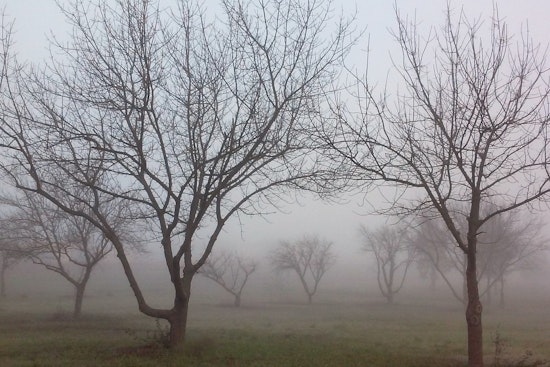Sacramento Braces for Weather Turmoil as Fog and Storms Threaten Holiday Travels