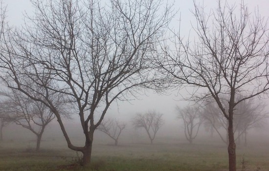Sacramento Braces for Weather Turmoil as Fog and Storms Threaten Holiday Travels