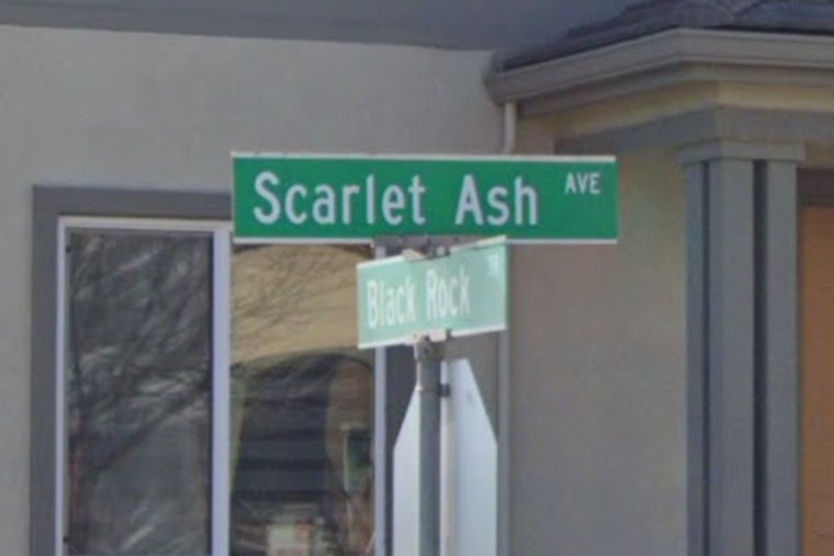 Sacramento Woman Fatally Shot, Suspect Charged as Police Seek Public Help in Scarlet Ash Avenue Homicide