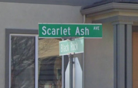 Sacramento Woman Fatally Shot, Suspect Charged as Police Seek Public Help in Scarlet Ash Avenue Homicide