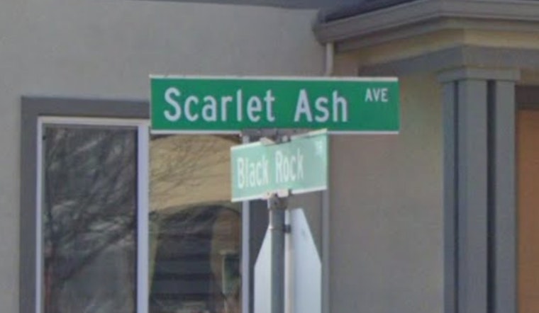 Sacramento Woman Fatally Shot, Suspect Charged as Police Seek Public Help in Scarlet Ash Avenue Homicide