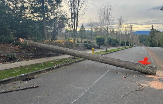 Sammamish Sets Up Special Permitting Service Desk to Aid Storm Recovery Efforts