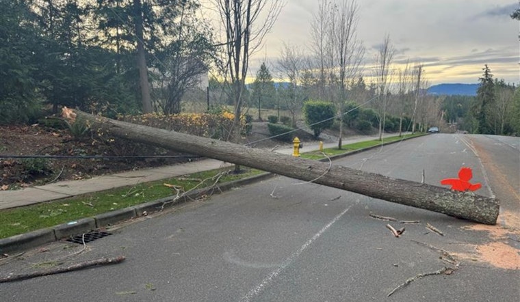 Sammamish Sets Up Special Permitting Service Desk to Aid Storm Recovery Efforts