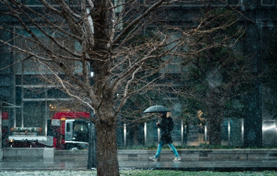 San Antonio Greets 2025 with Classic Texas Winter Whimsy: Warm Days and Cool Nights Ahead