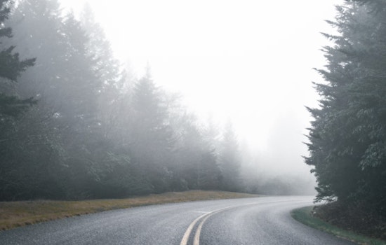 San Antonio Shrouded in Fog and Light Rain Today, Mild Temperatures with Weekend Thunderstorms in Forecast
