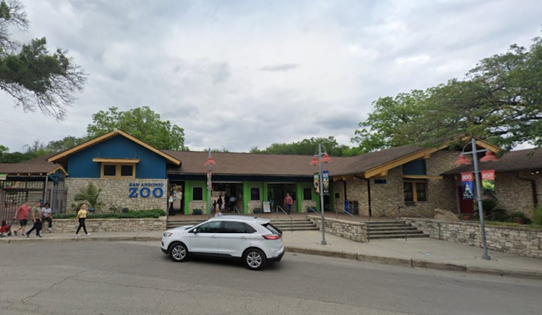 San Antonio Zoo Offers Special Discount for Bexar County Residents to Enjoy 'Zoo Lights'