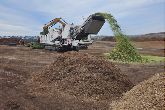 San Diego Encourages Sustainable Post-Holiday Clean Up with Free Christmas Tree Recycling Program