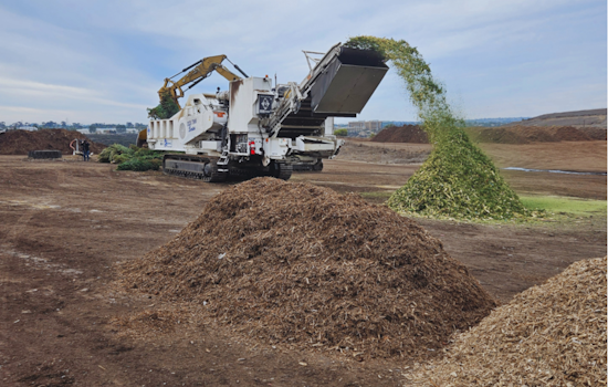 San Diego Encourages Sustainable Post-Holiday Clean Up with Free Christmas Tree Recycling Program