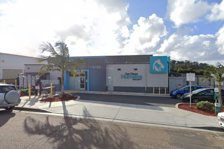 San Diego Humane Society Encourages Responsible Puppy Adoption During Holiday Season