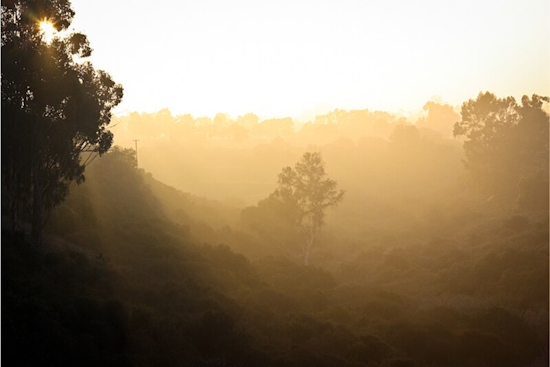 San Diego Weather Alert: Drop in Temperatures, Foggy Conditions Ahead as Marine Layer Deepens