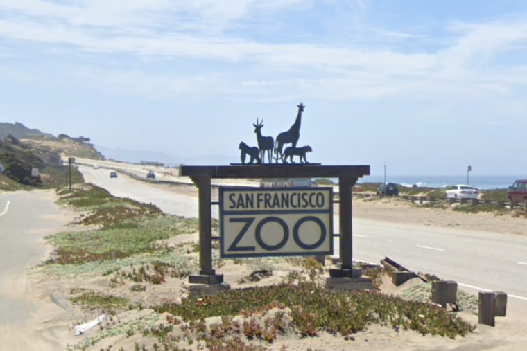 San Francisco Zoo Closes Aviary Exhibits as a Precaution Against Bird Flu Outbreak