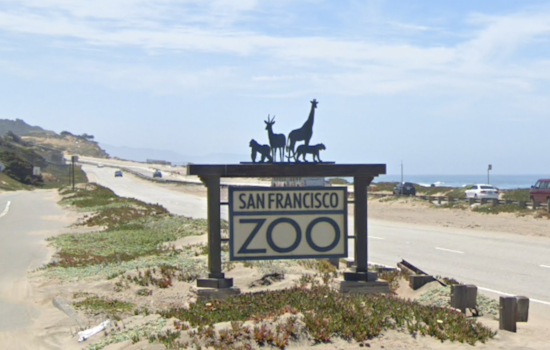 San Francisco Zoo Closes Aviary Exhibits as a Precaution Against Bird Flu Outbreak