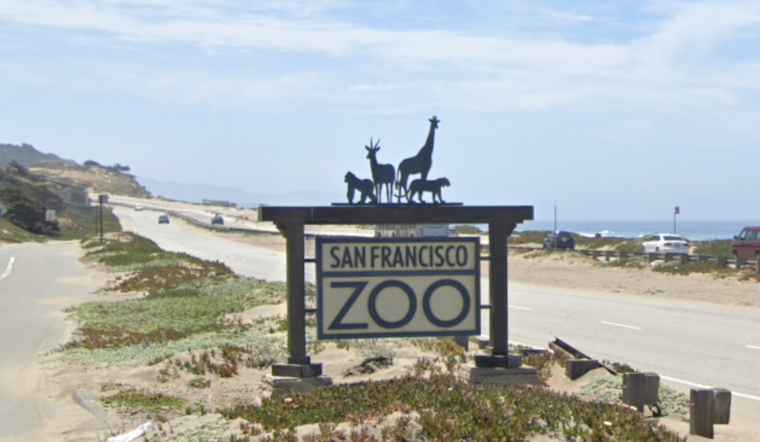 San Francisco Zoo Closes Aviary Exhibits as a Precaution Against Bird Flu Outbreak