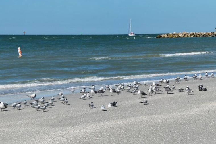 Sand Key Park Reopens in Clearwater After Hurricane Cleanup, Ready for Public Enjoyment